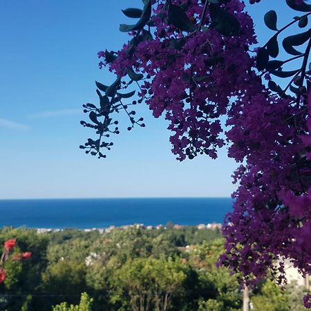 Vila Pogled Petrovac Extérieur photo