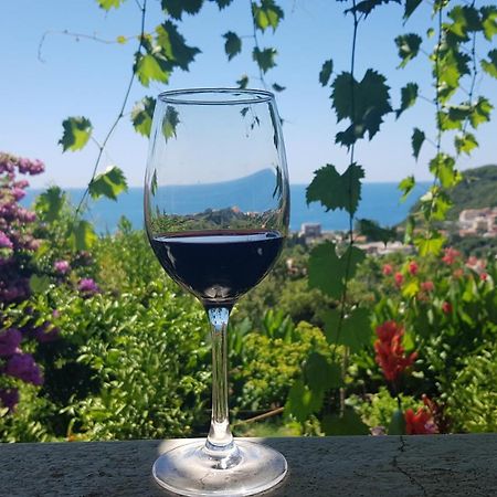 Vila Pogled Petrovac Extérieur photo