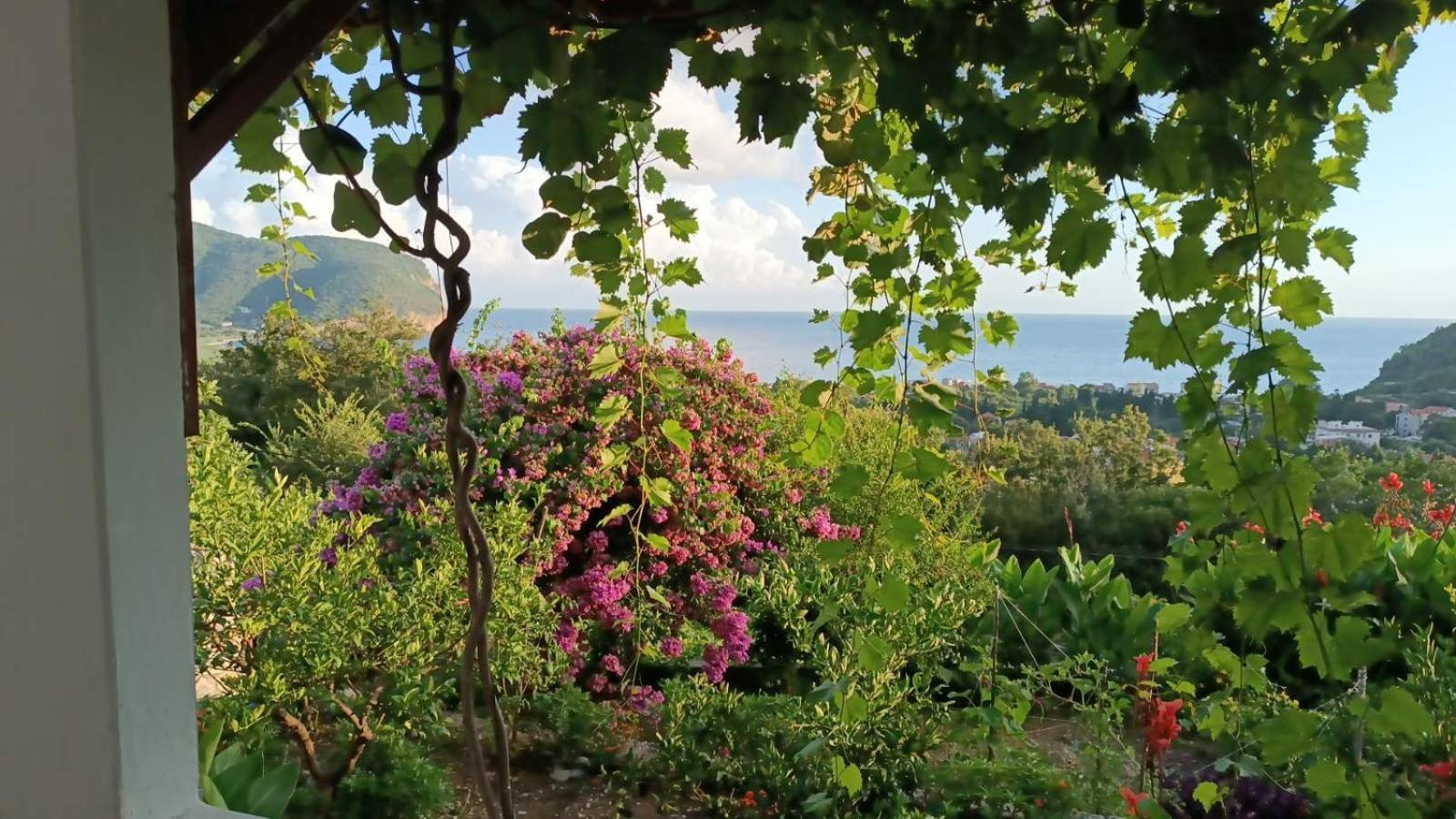 Vila Pogled Petrovac Extérieur photo