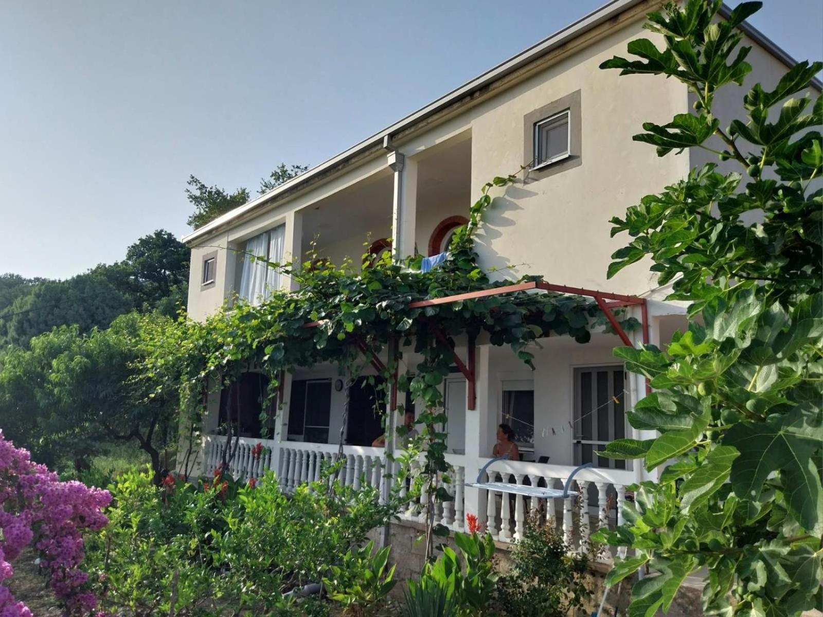 Vila Pogled Petrovac Extérieur photo
