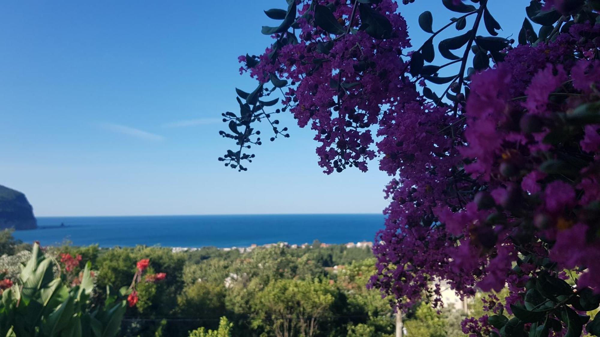 Vila Pogled Petrovac Extérieur photo
