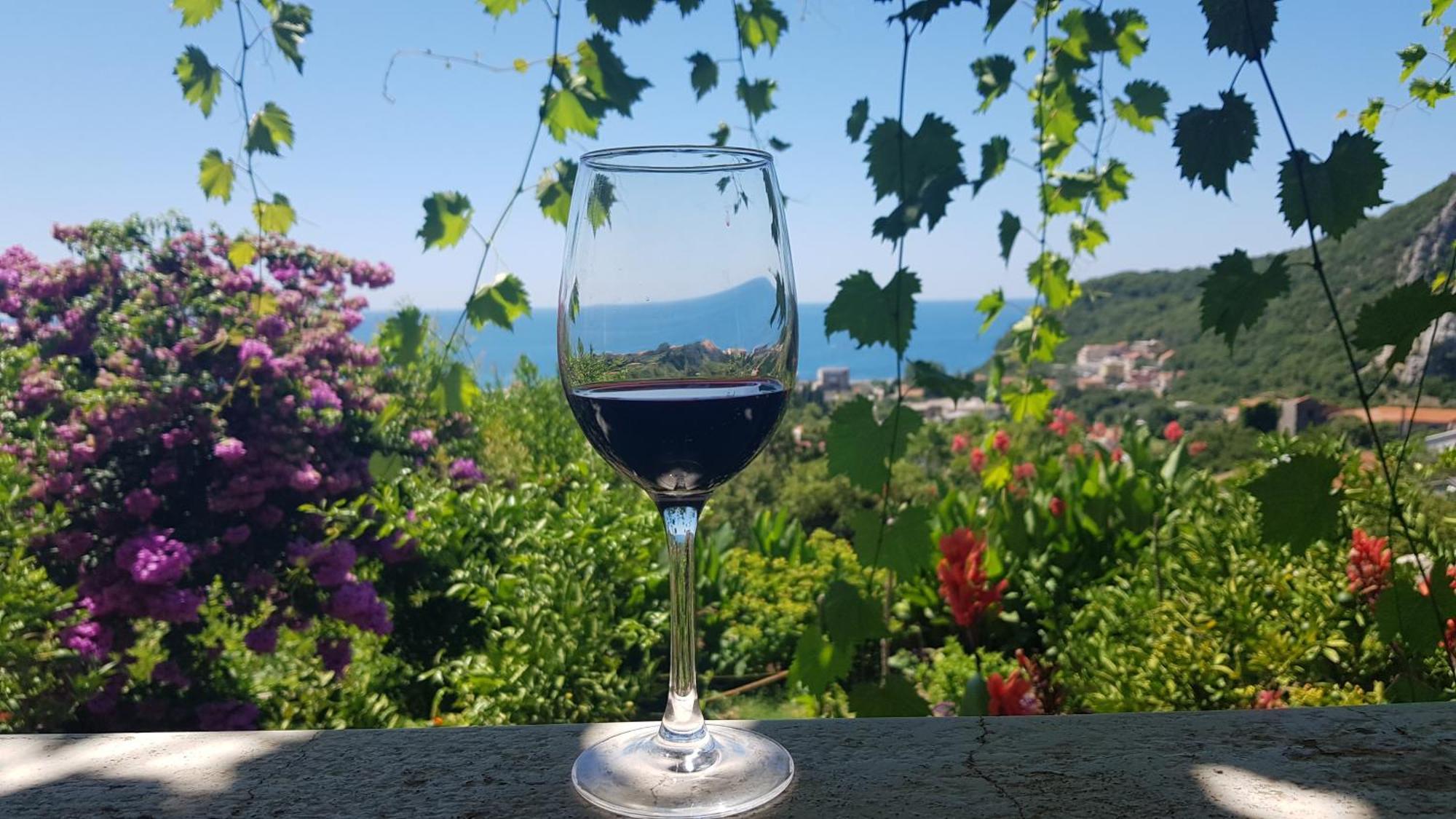 Vila Pogled Petrovac Extérieur photo