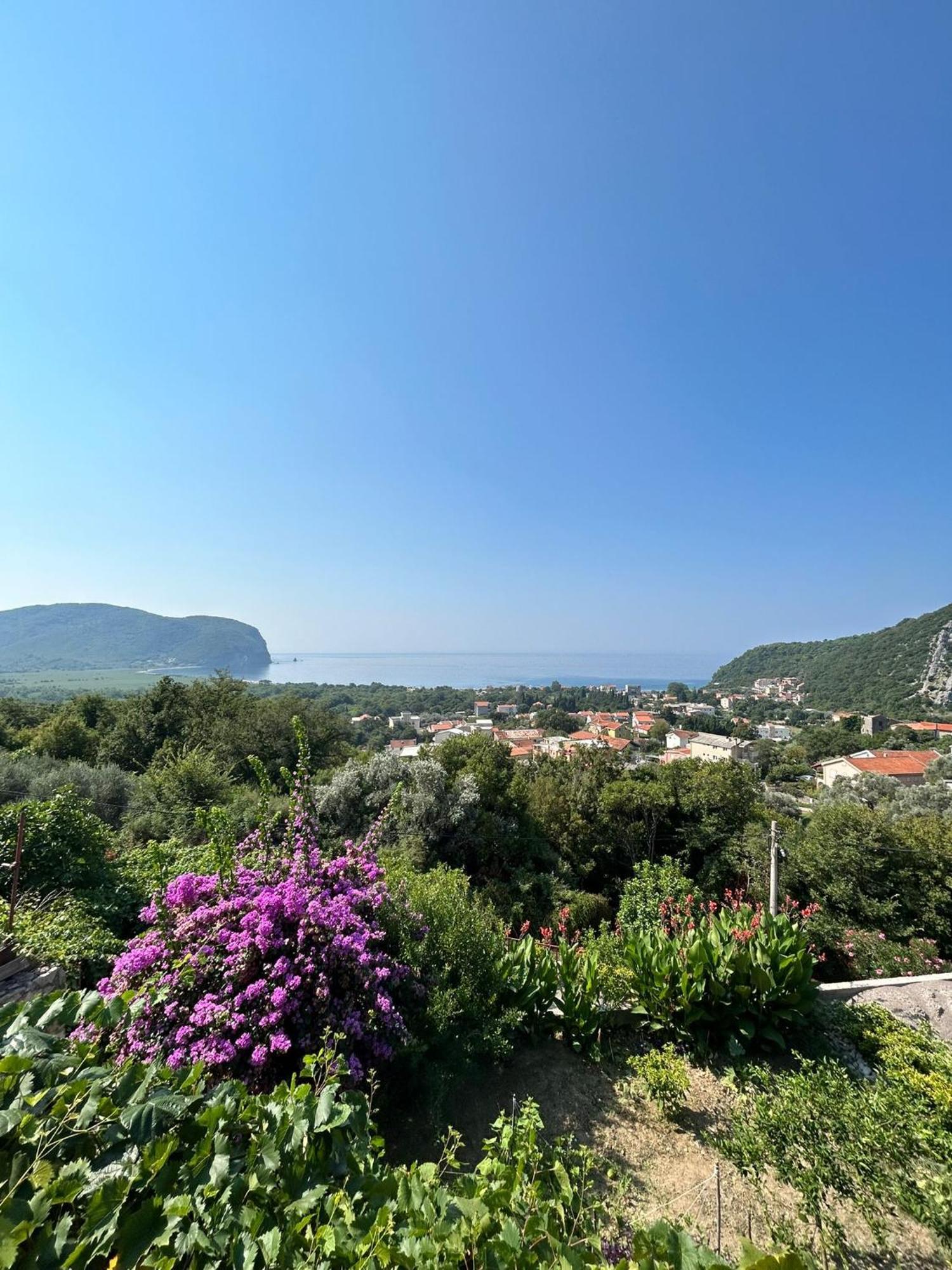 Vila Pogled Petrovac Extérieur photo